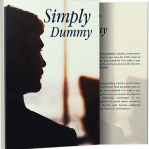 Simply Dummy Book